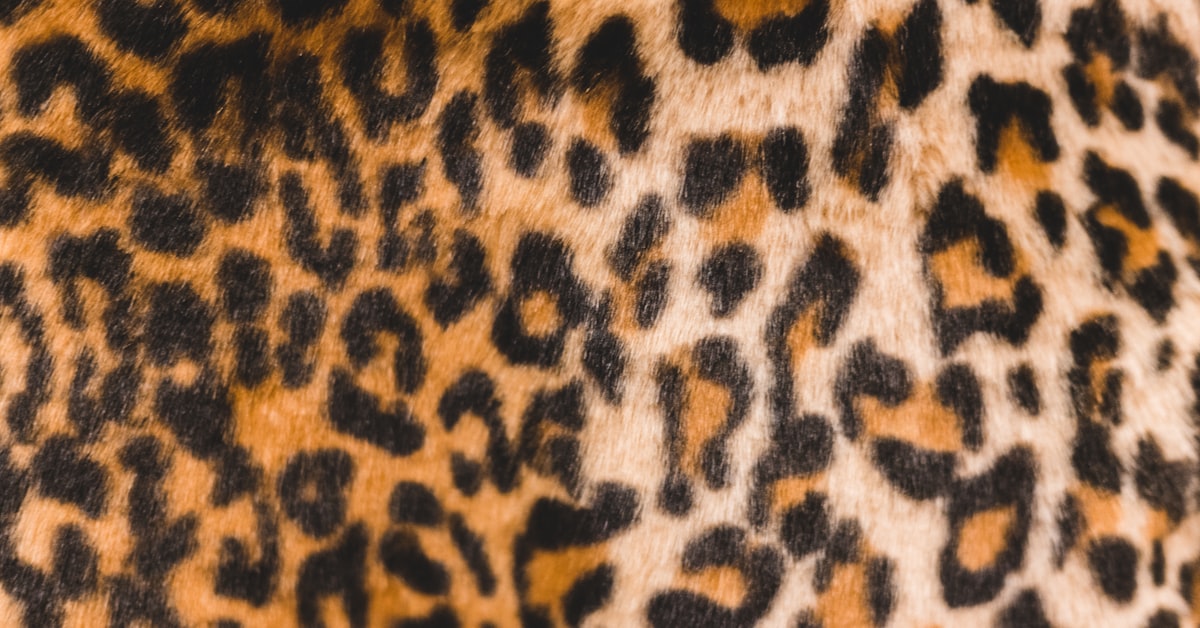 Peça de moda feminina com estampa animal print