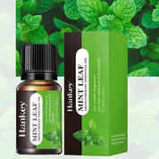 Óleo Essencial de Aromaterapia 10ml - Transforme Seu Ambiente
