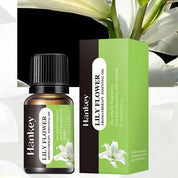 Óleo Essencial de Aromaterapia 10ml - Transforme Seu Ambiente