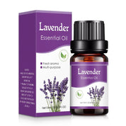 Óleo Essencial de Aromaterapia 10ml para Umidificador