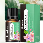 Óleo Essencial de Aromaterapia 10ml - Transforme Seu Ambiente