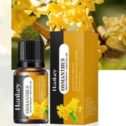 Óleo Essencial de Aromaterapia 10ml - Transforme Seu Ambiente