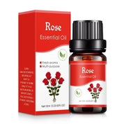 Óleo Essencial de Aromaterapia 10ml para Umidificador