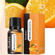 Óleo Essencial de Aromaterapia 10ml - Transforme Seu Ambiente