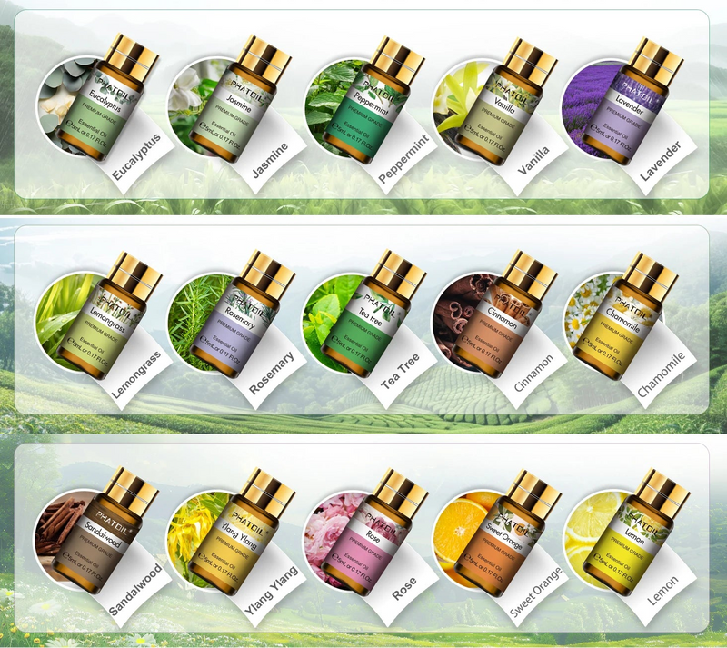 Conjunto de Óleos Essenciais PHATOIL 15 Peças para Aromaterapia